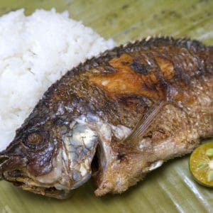 fried tilapia